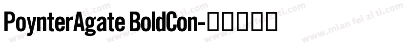 PoynterAgate BoldCon字体转换